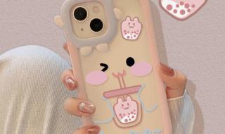 apple手机壳 apple手机壳