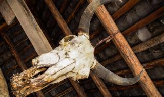 小宝贝丽江 小宝贝丽江